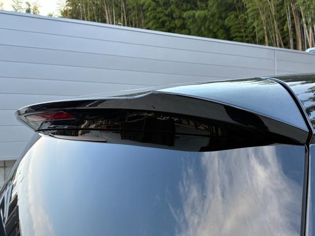 Миниатюра 55