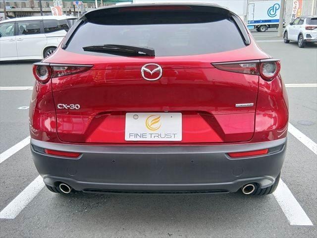 Миниатюра 22