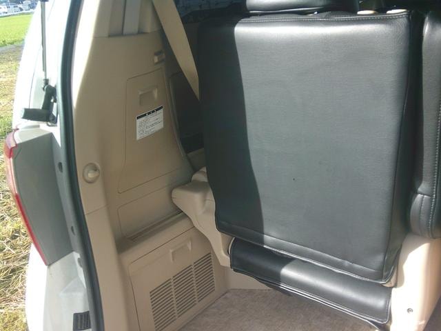 Toyota ALPHARD 2010 — фото автомобиля 1