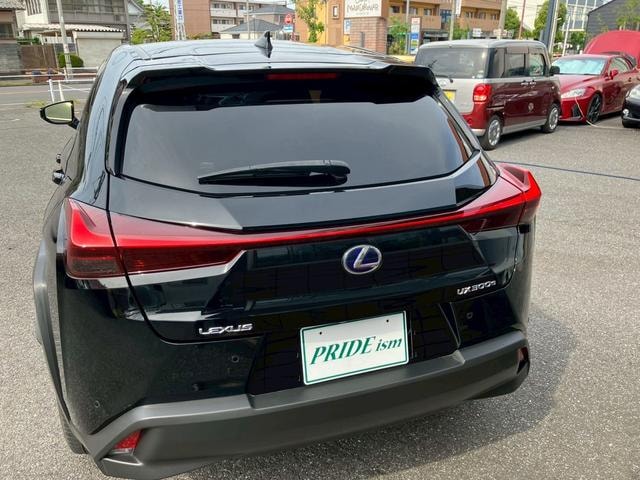 Миниатюра 9