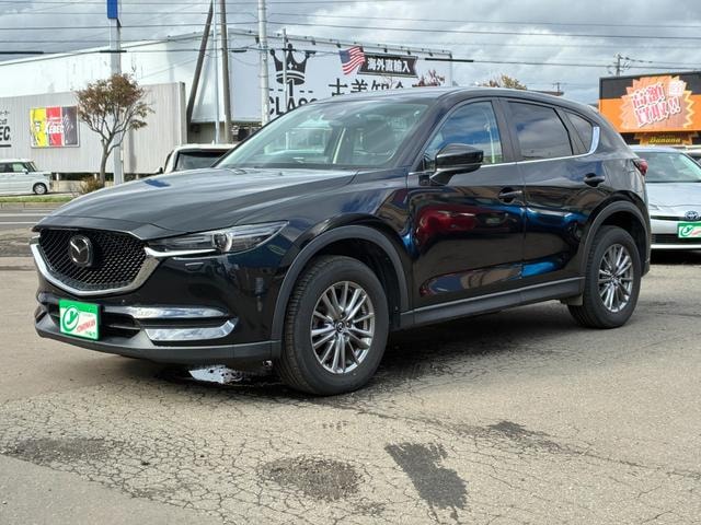 Миниатюра 17