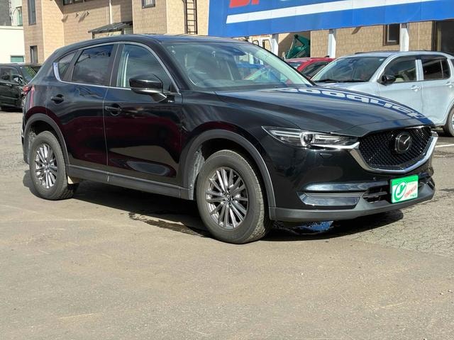 Миниатюра 19