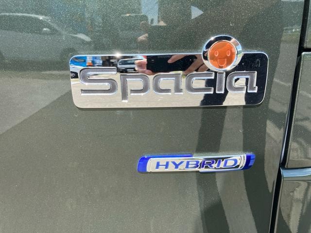 Миниатюра 43