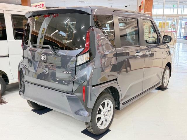 Миниатюра 17