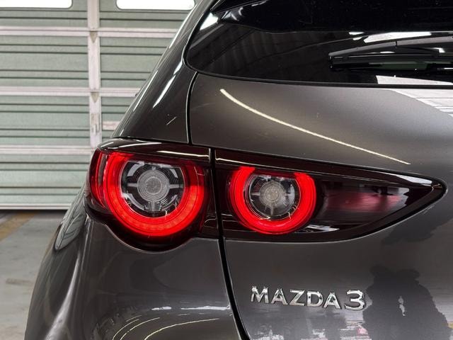 Миниатюра 12