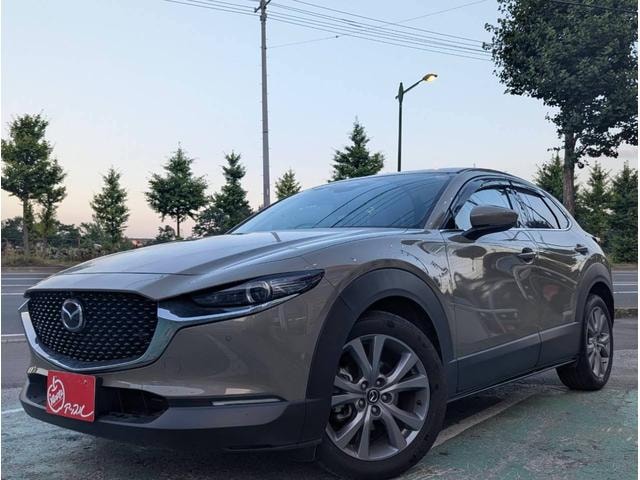 Миниатюра 20