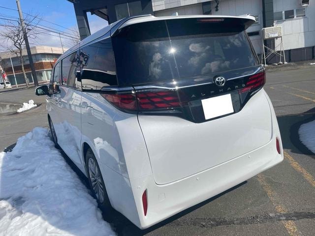 Миниатюра 51