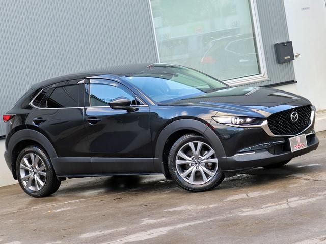 Миниатюра 29
