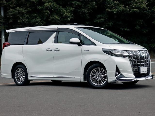 Миниатюра 51