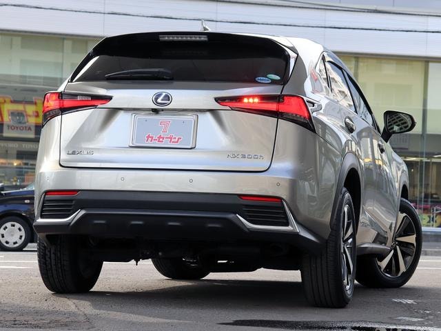 Lexus NX 2018 — фото автомобиля 1