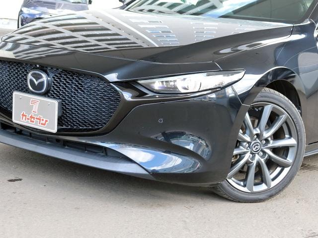 Миниатюра 29