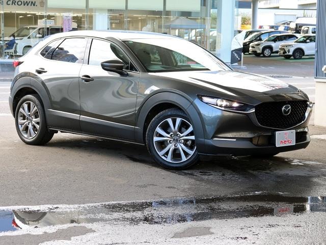 Миниатюра 7