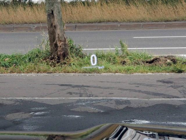 Миниатюра 47