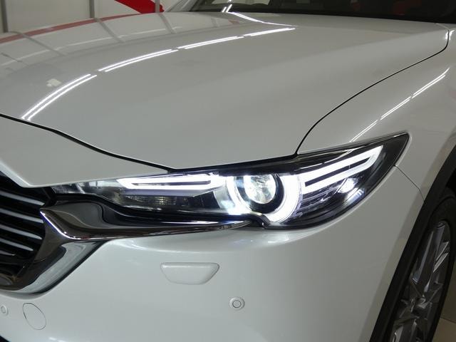 Миниатюра 14