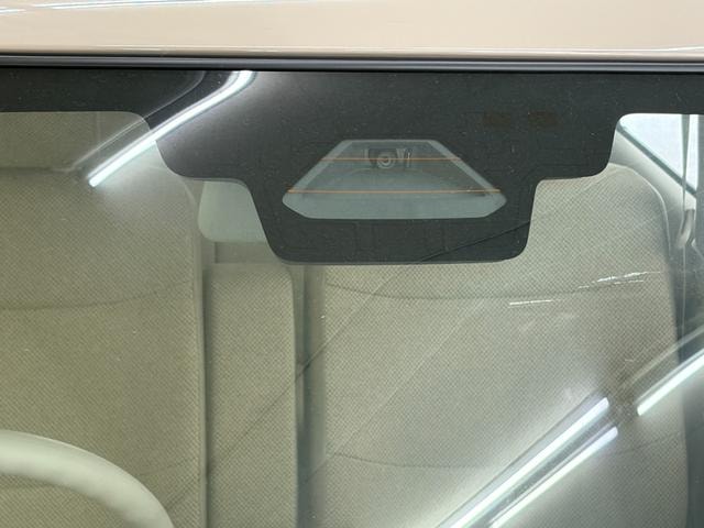 Миниатюра 43