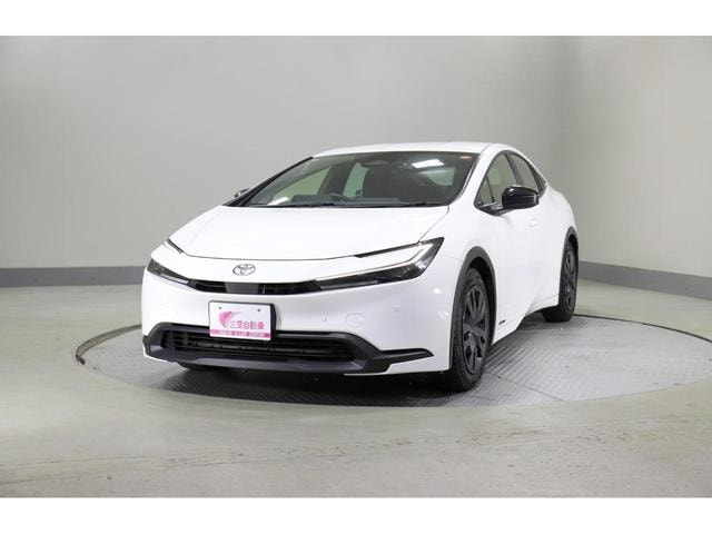 Миниатюра 13