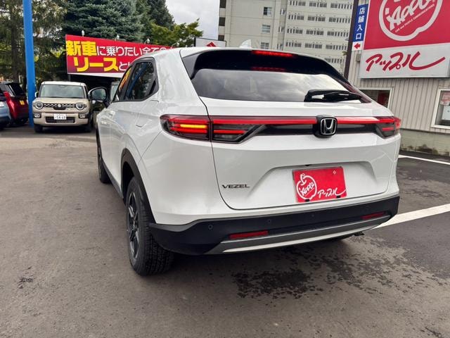 Миниатюра 28
