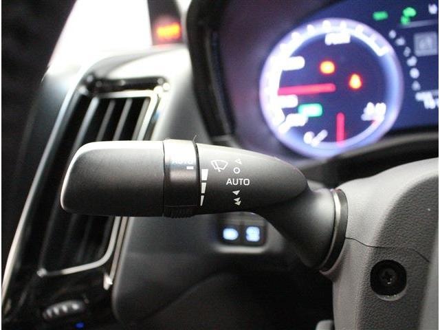 Миниатюра 28