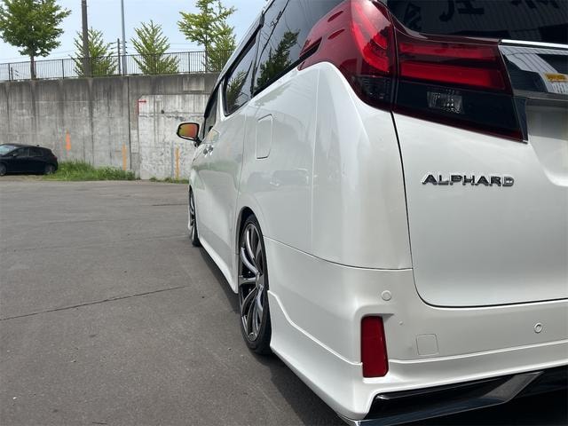Миниатюра 51