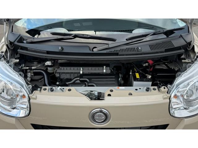 Миниатюра 19