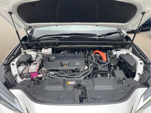 Миниатюра 45