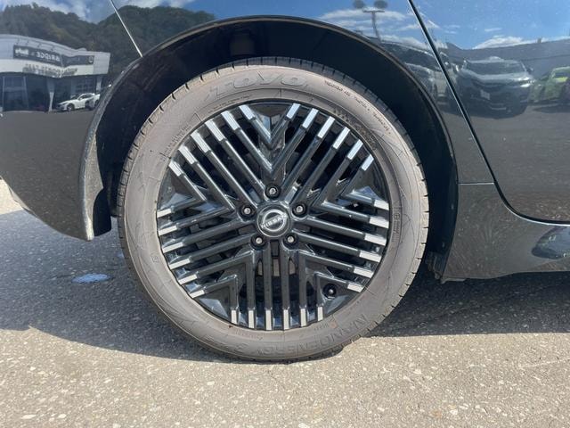 Миниатюра 41