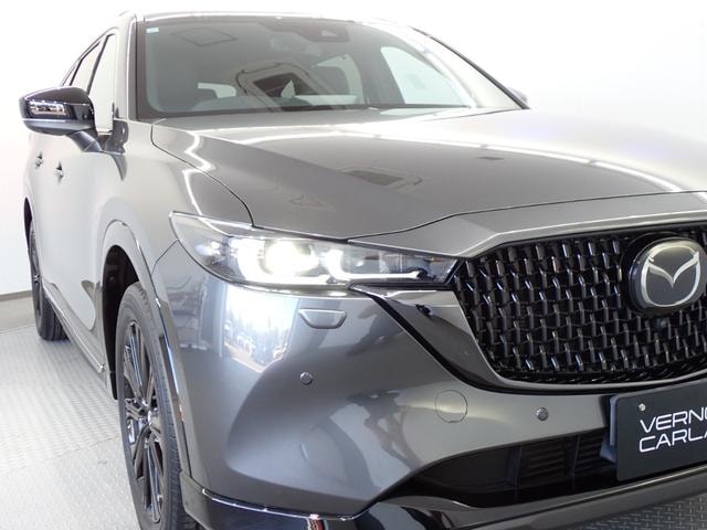 Миниатюра 18