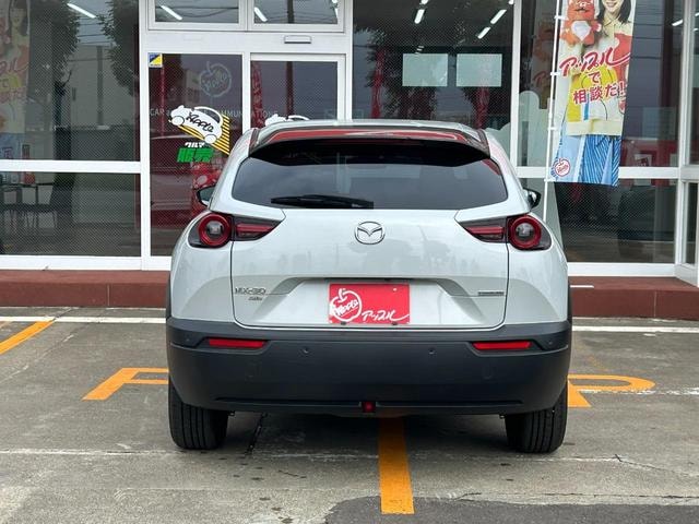 Миниатюра 21