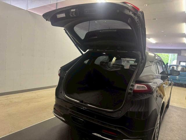 Миниатюра 52