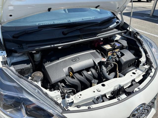 Миниатюра 53