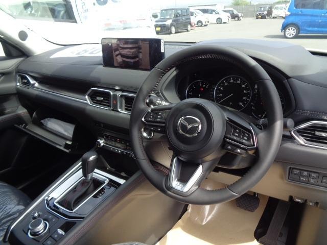 Миниатюра 19