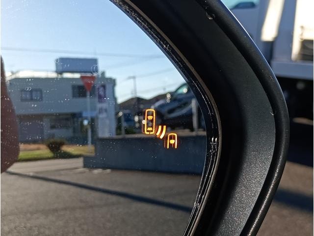 Миниатюра 11