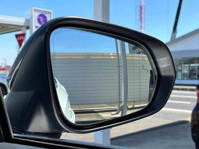 Миниатюра 55