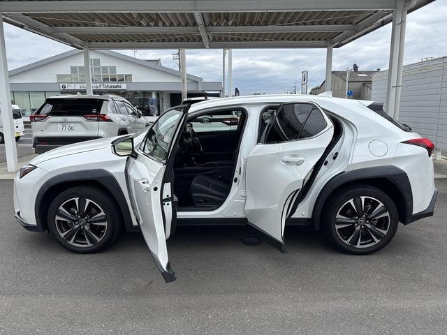 Миниатюра 43