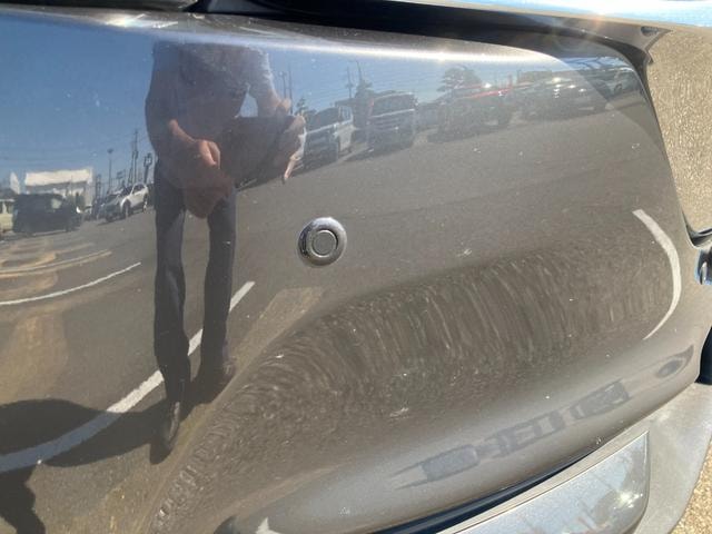 Миниатюра 30