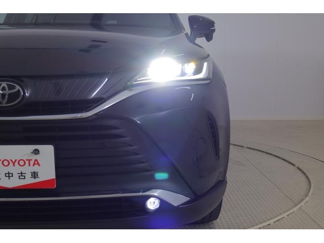 Миниатюра 46