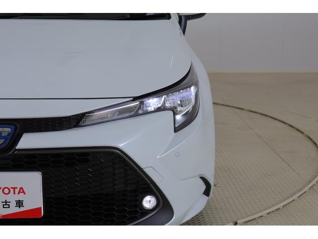 Миниатюра 40