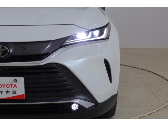 Миниатюра 47