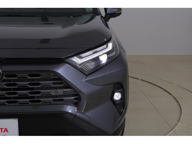 Миниатюра 49