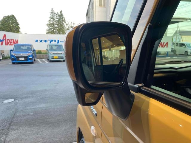 Миниатюра 55