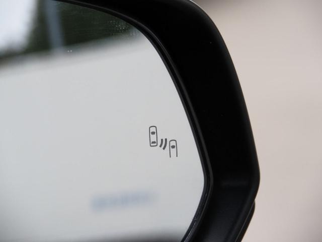 Миниатюра 52