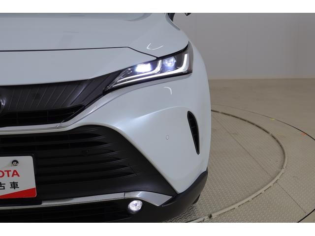 Миниатюра 44
