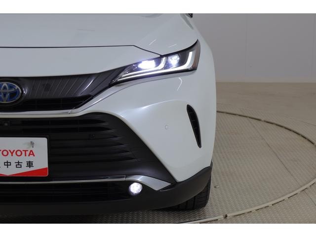 Миниатюра 51