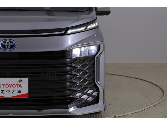 Миниатюра 46