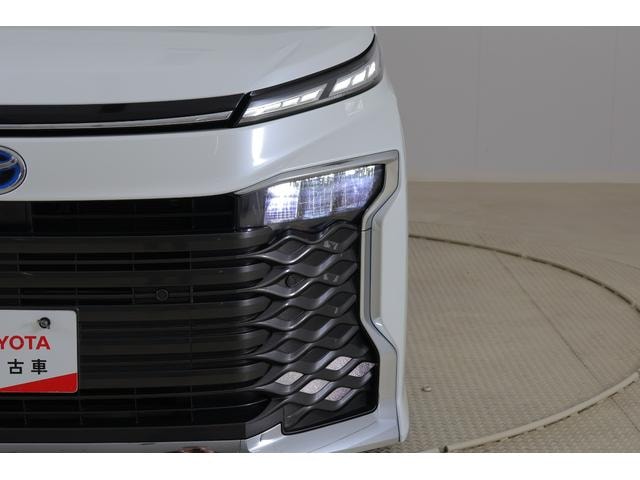Миниатюра 51