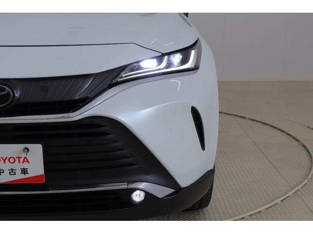 Миниатюра 49