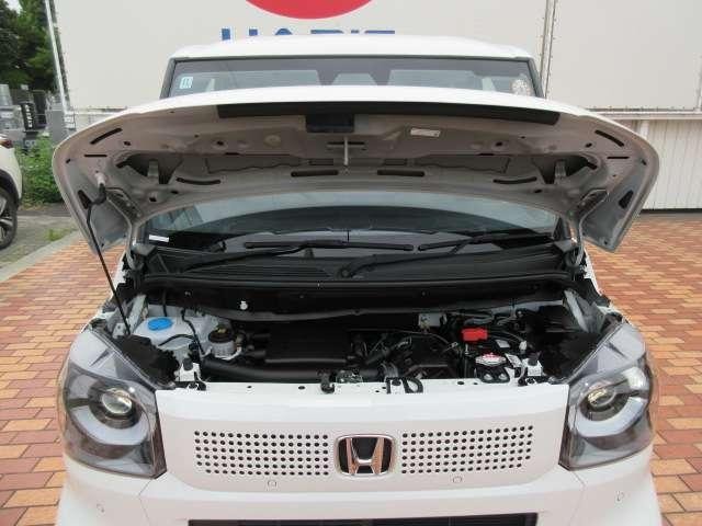 Миниатюра 55