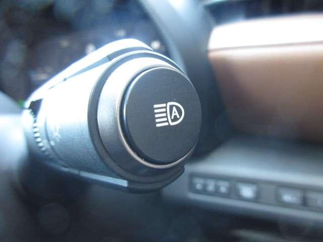 Миниатюра 25