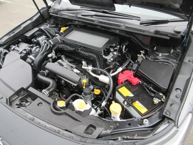 Миниатюра 55