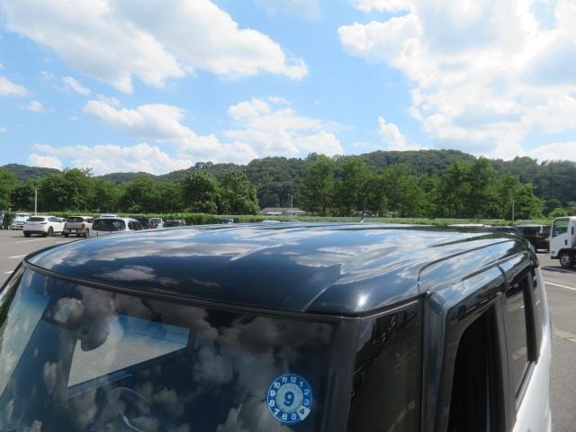Миниатюра 51